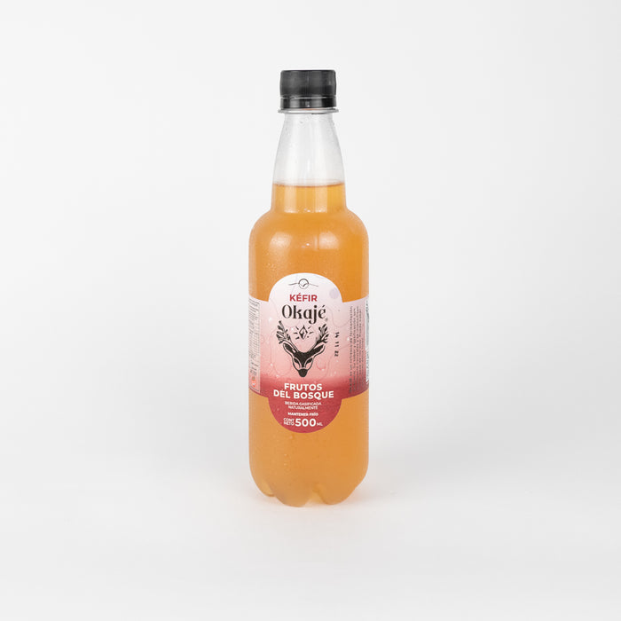 OKAJE - KEFIR X 500 ML FRUTOS PAGONICOS